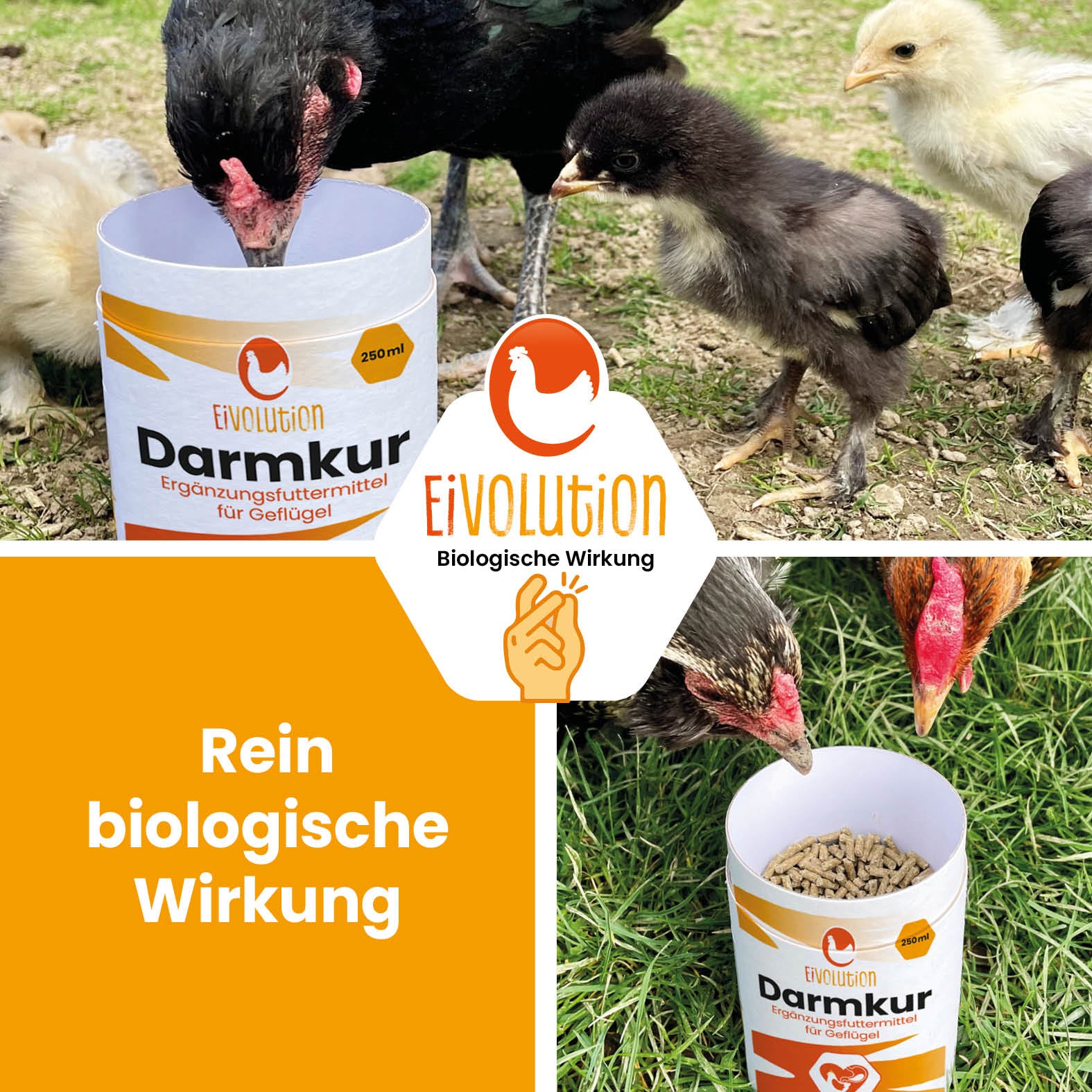 Eivolution Darmkur "Rein biologische Wirkung" 