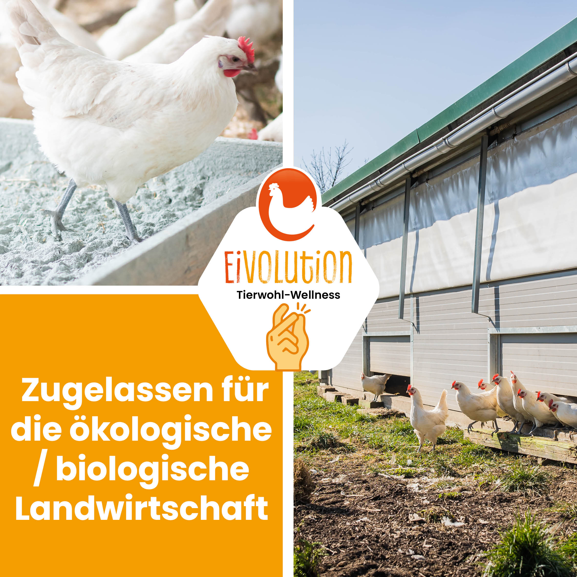 Diabas Urgesteinsmehl "Zugelassen für die ökologische/ biologische Landwirtschaft" 