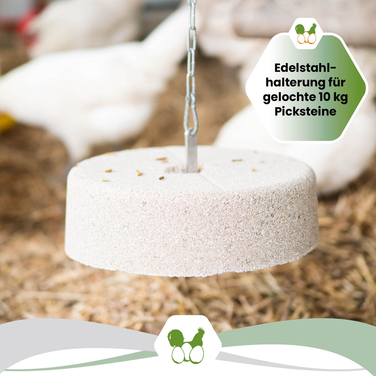 Edelstahlhalterung für gelochte 10 kg Picksteine