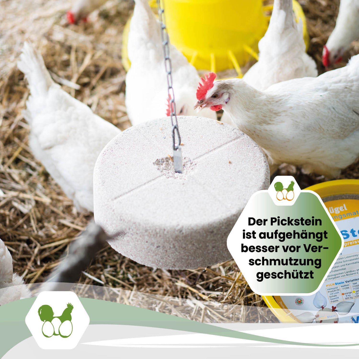 Edelstahlhalterung für gelochte 10 kg Picksteine
