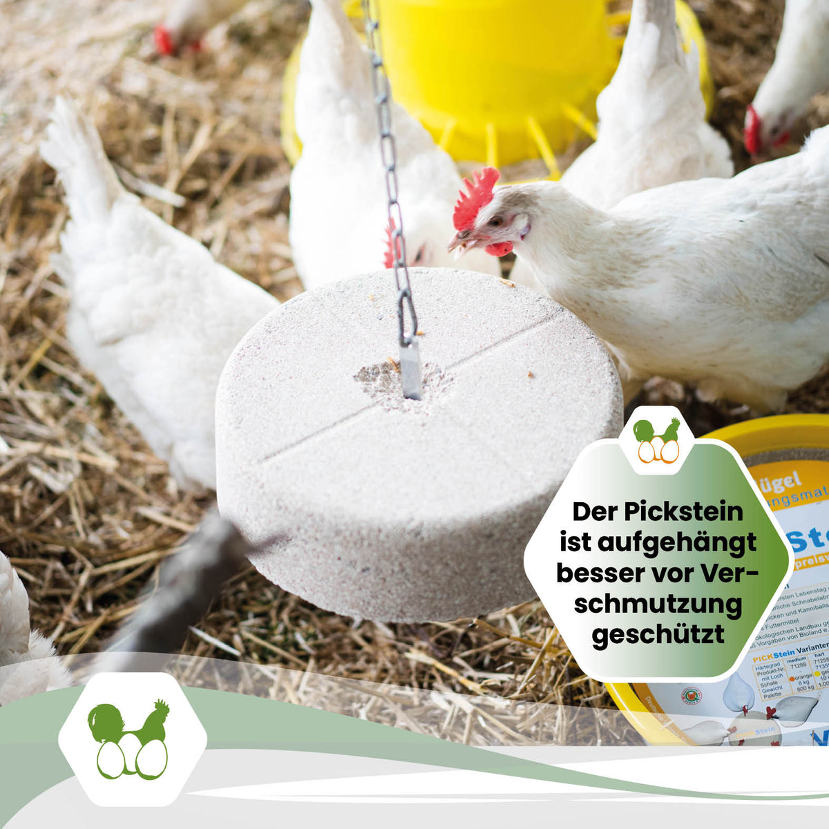 Edelstahlhalterung für gelochte 10 kg Picksteine