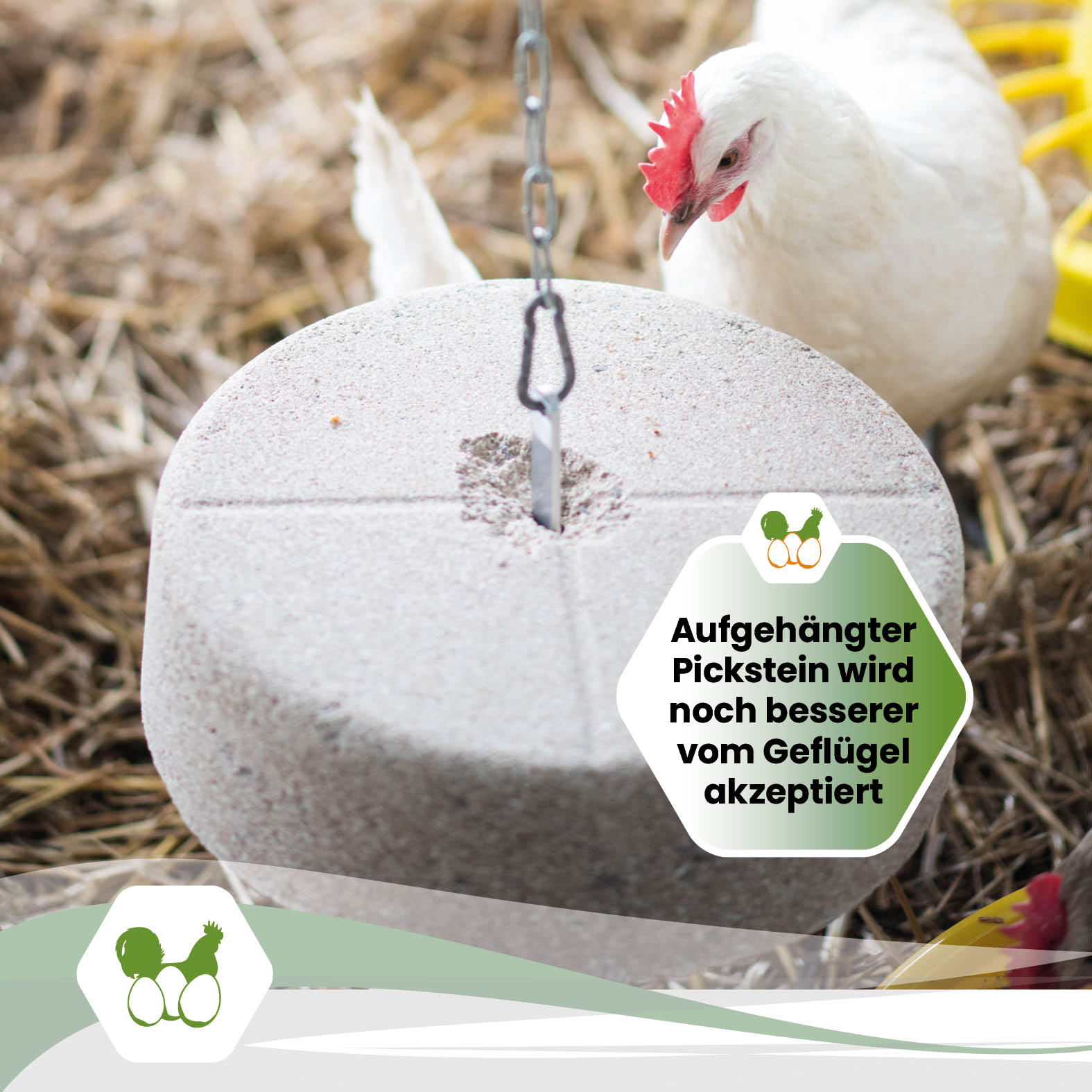 Edelstahlhalterung für gelochte 10 kg Picksteine