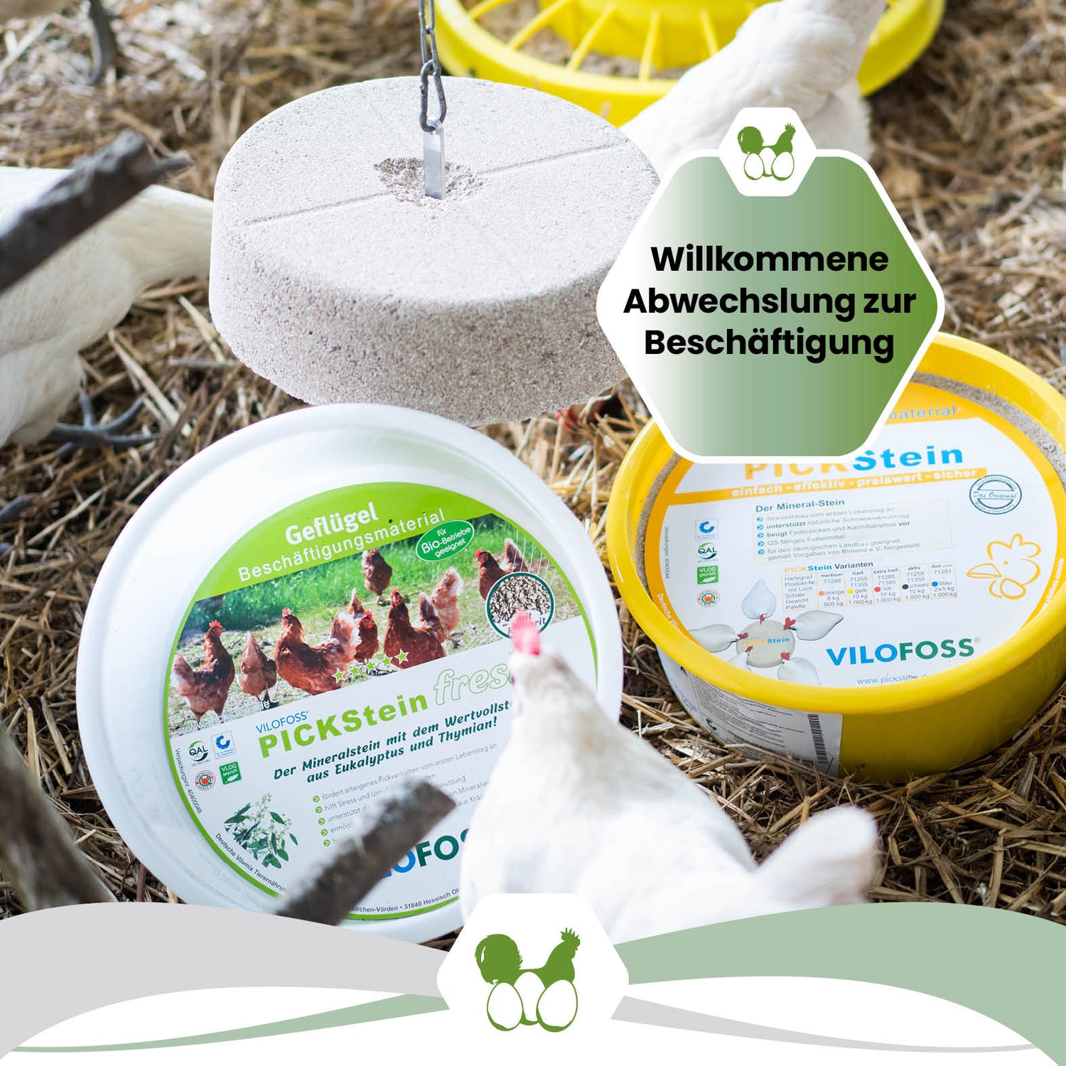 Edelstahlhalterung für gelochte 10 kg Picksteine