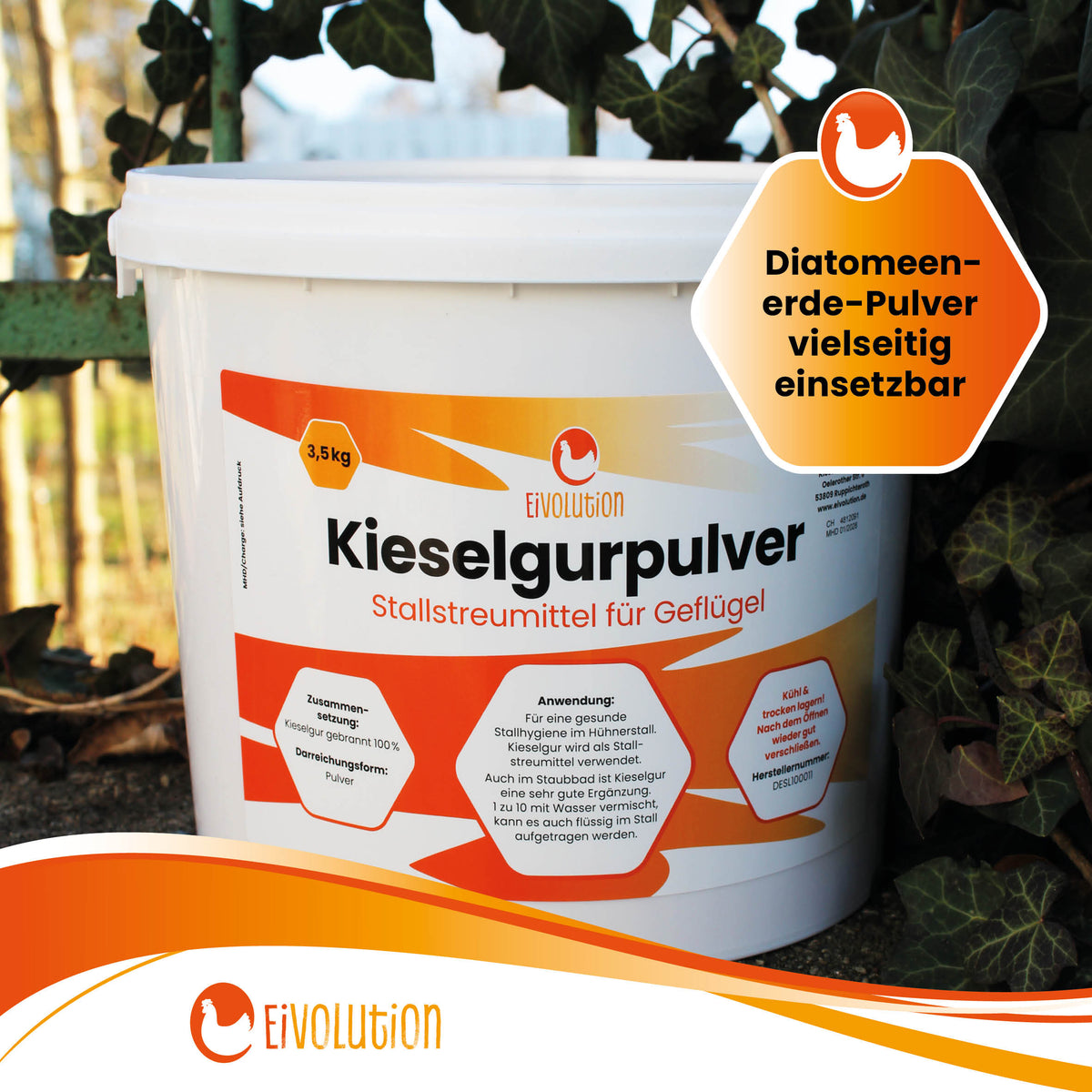 Kieselgurpulver "Diatomeenerde-Pulver vielseitig einsetzbar"