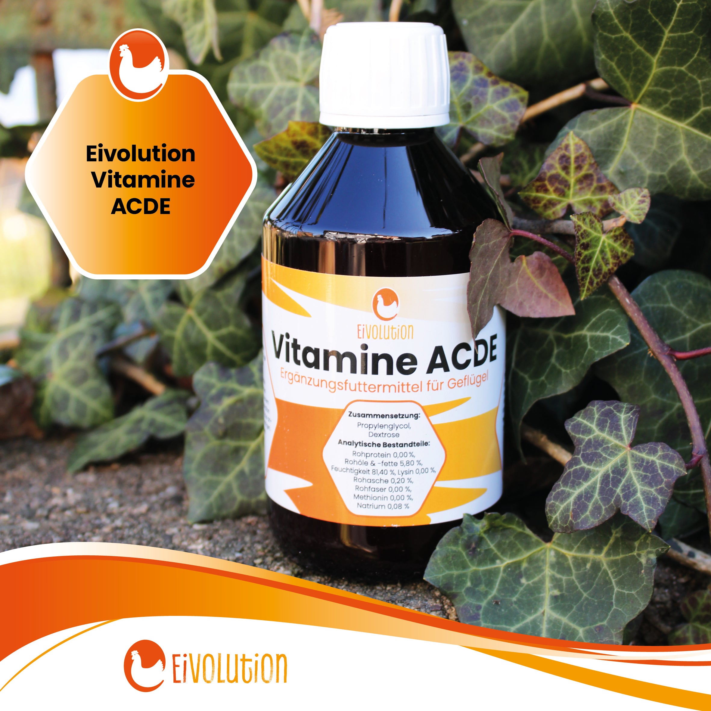 Vitamine ACDE für Hühner "eivolution Vitamine ACDE"
