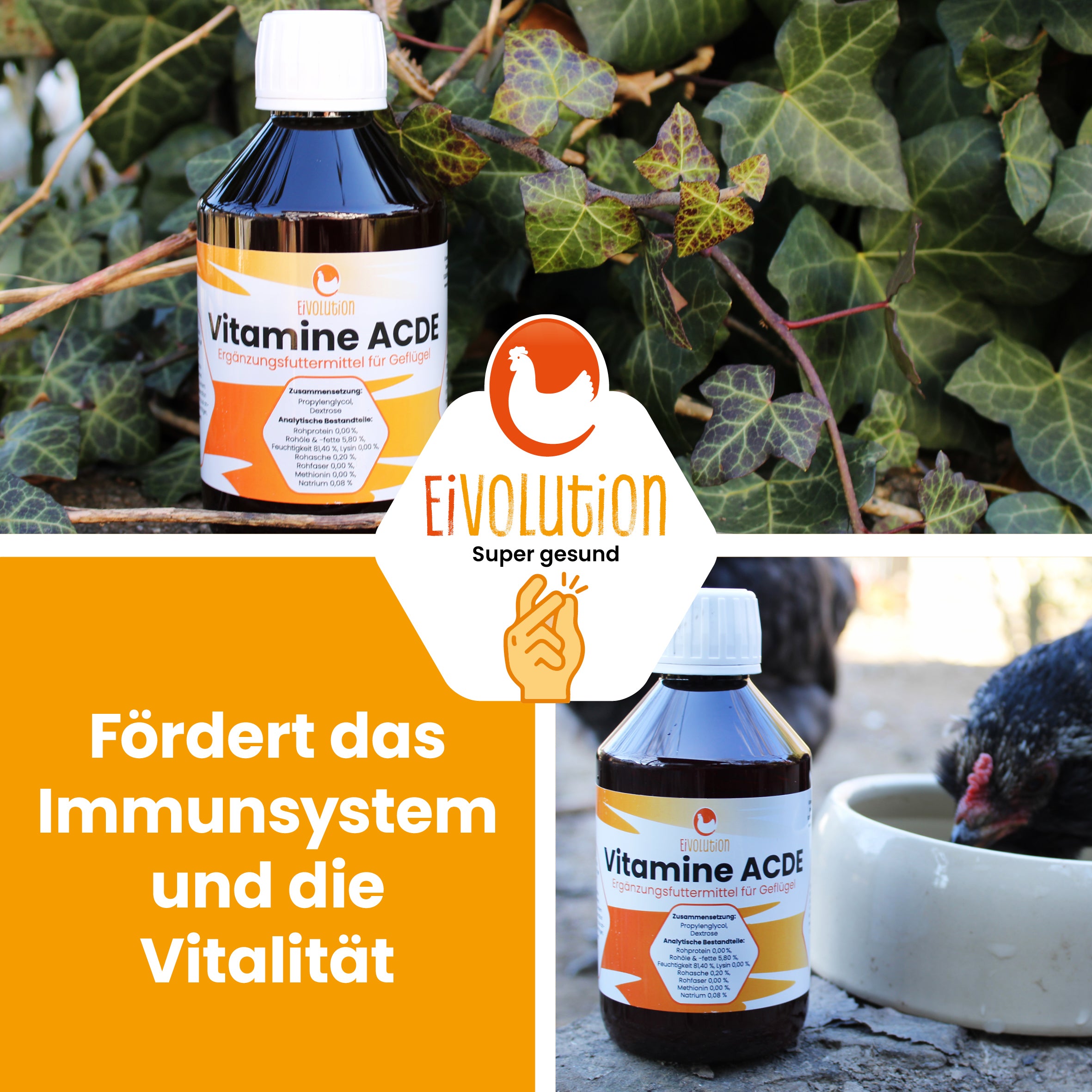 Vitamine ACDE für Hühner "Fördert das Immunsystem und die Vitalität"