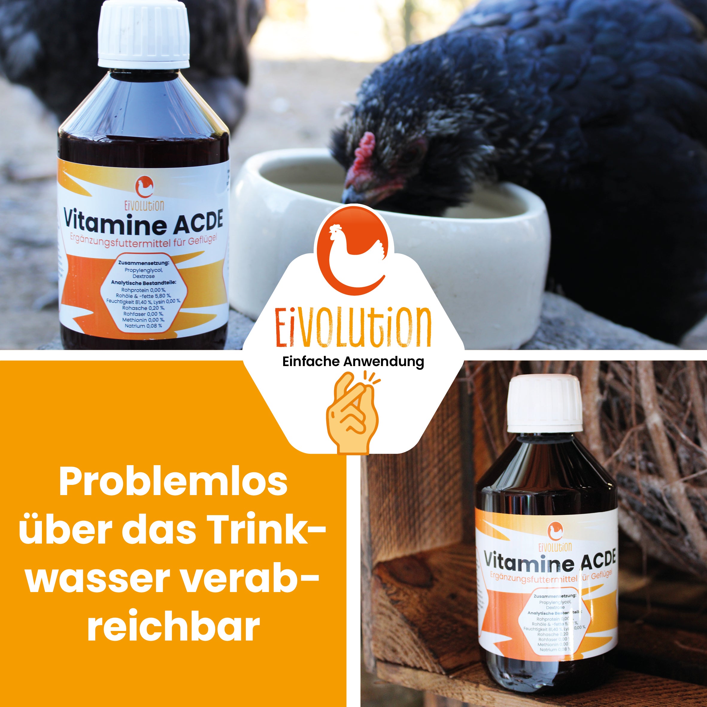 Vitamine ACDE für Hühner "Problemlos über das Trinkwasser verabreichbar"