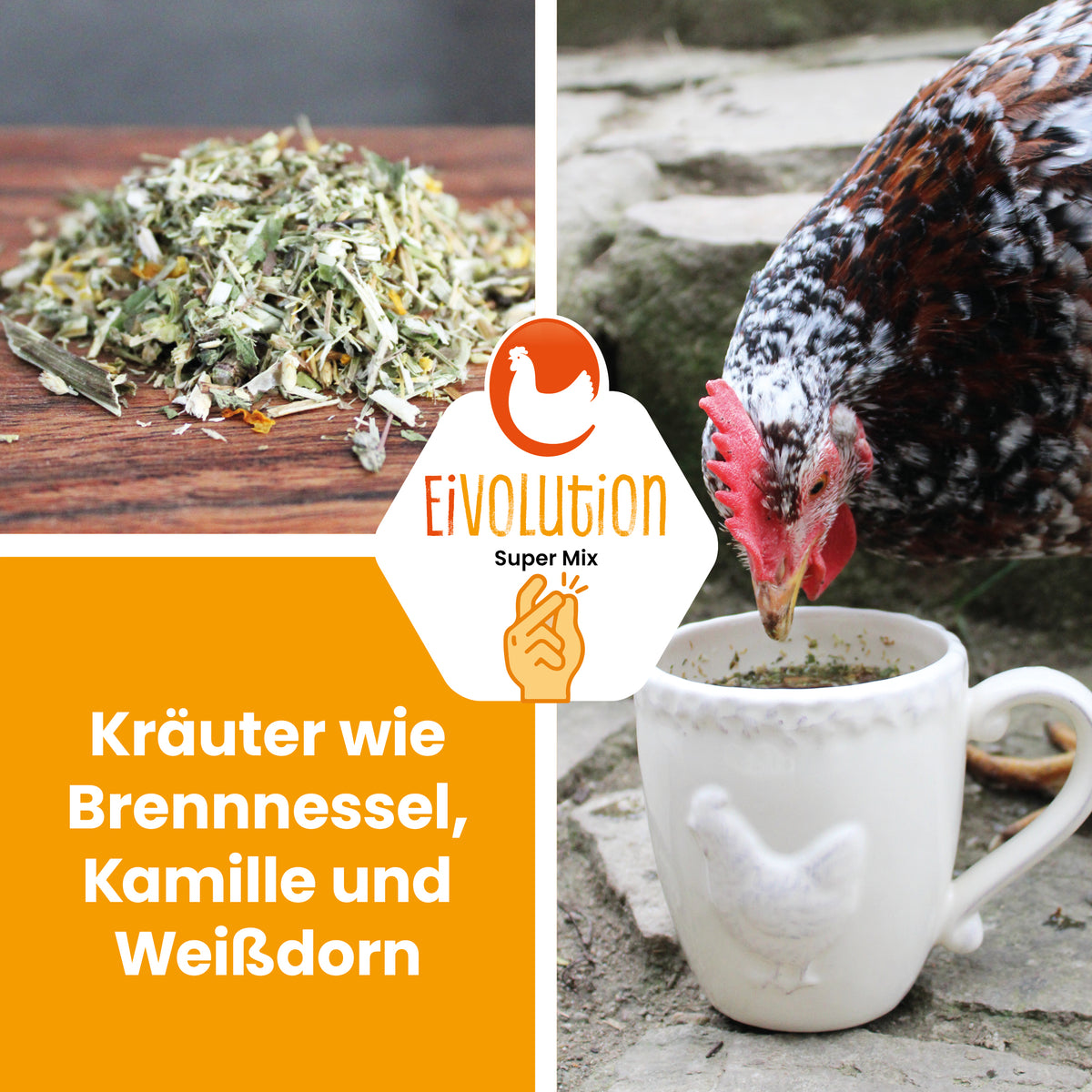 Wohlfühlkräuter "Kräuter wie Brennnessel, Kamille und Weißdorn"