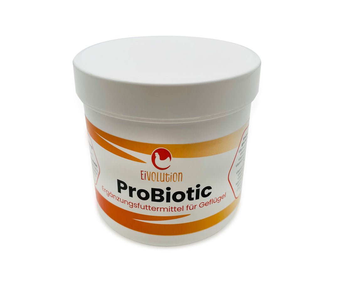 ProBiotic – Natürliche Darmflora-Stabilisierung für gesundes Geflügel