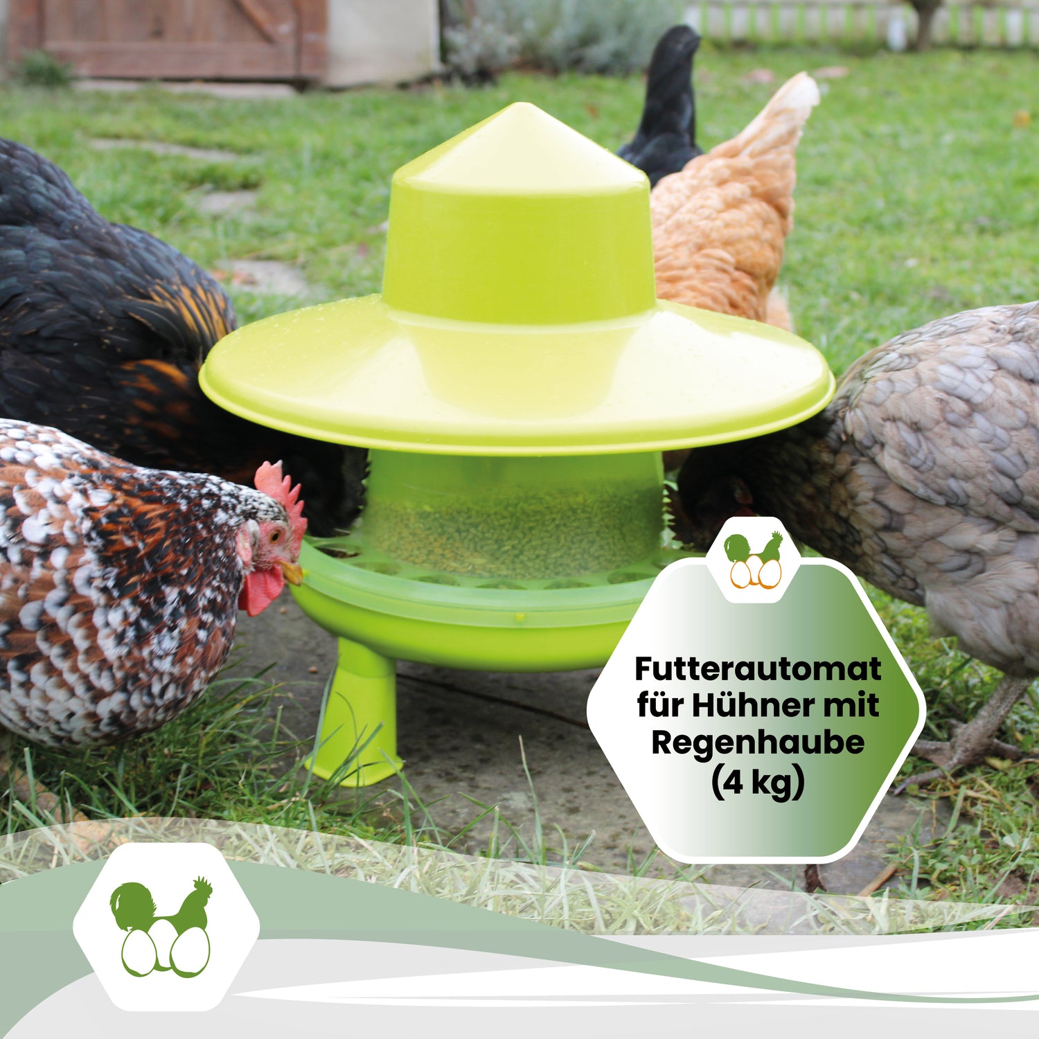 Futterautomat aus Kunststoff für Geflügelarten / Futtertrog Geflügel - 3 kg 3 kg Futterautomat aus Kunststoff für Geflügelarten / Futtertrog Geflügel - 3 kg 3 kg