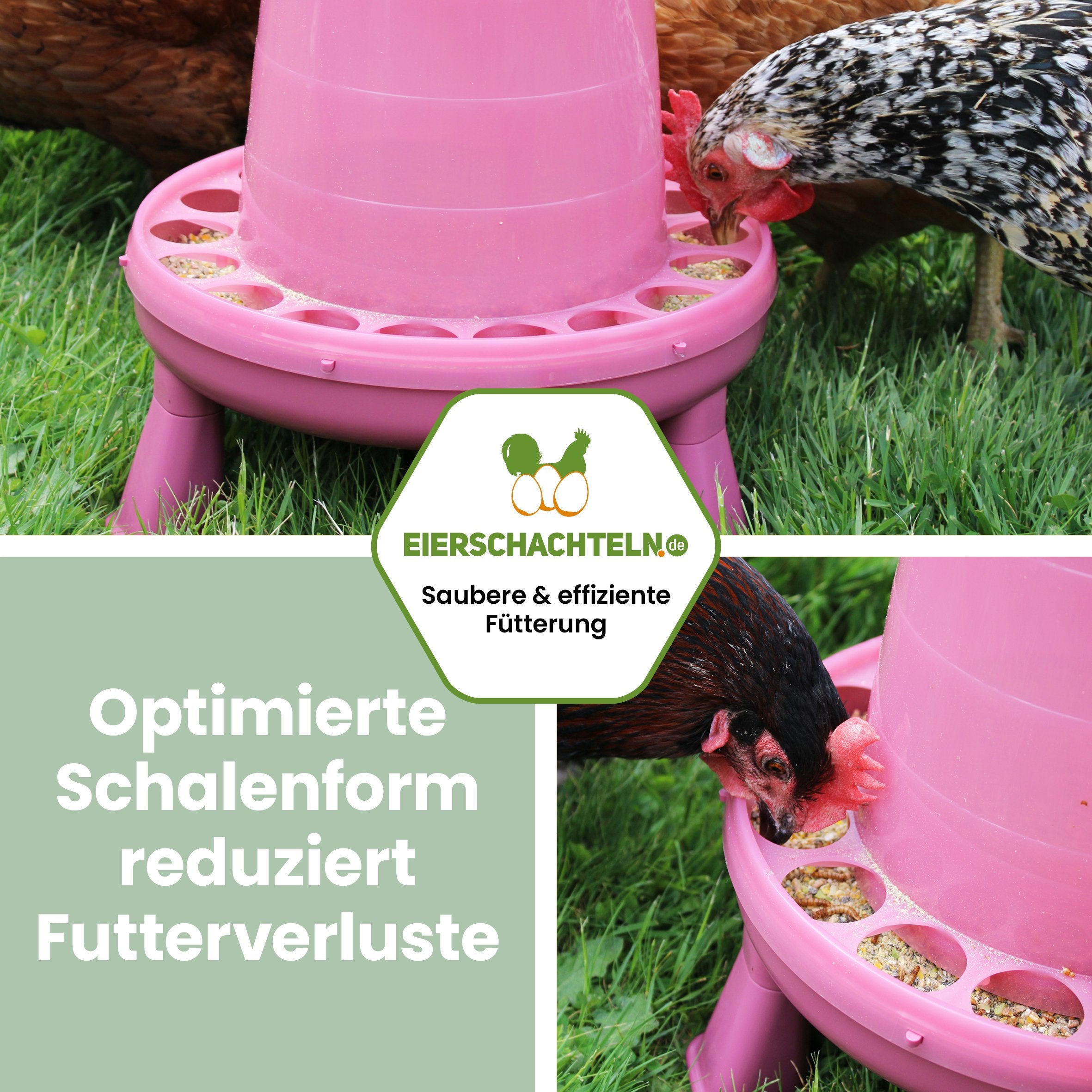 Futterautomat 4 kg in Rosé "Optimierte Schalenform reduziert Futterverluste" 