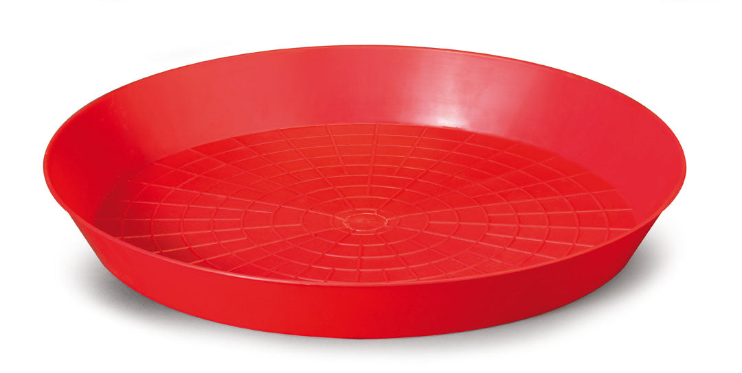 Futterteller für Küken 24 cm