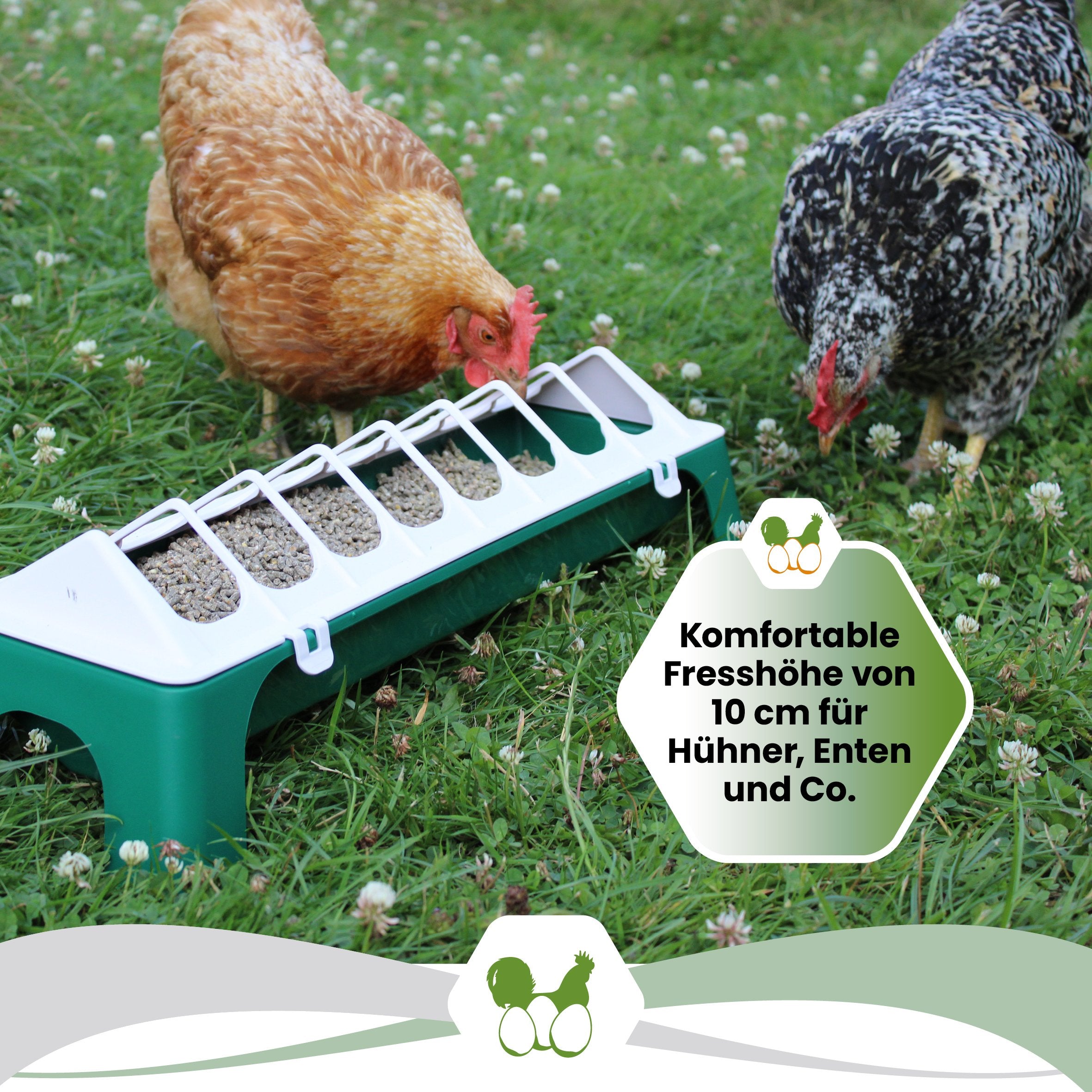 Geflügelfuttertrog "Komfortable Fresshöhe von 10 cm für Hühner, Enten und Co."