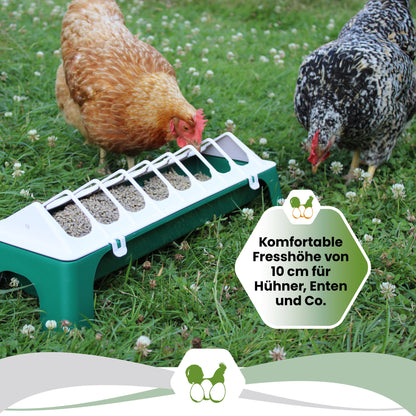 Geflügelfuttertrog "Komfortable Fresshöhe von 10 cm für Hühner, Enten und Co."