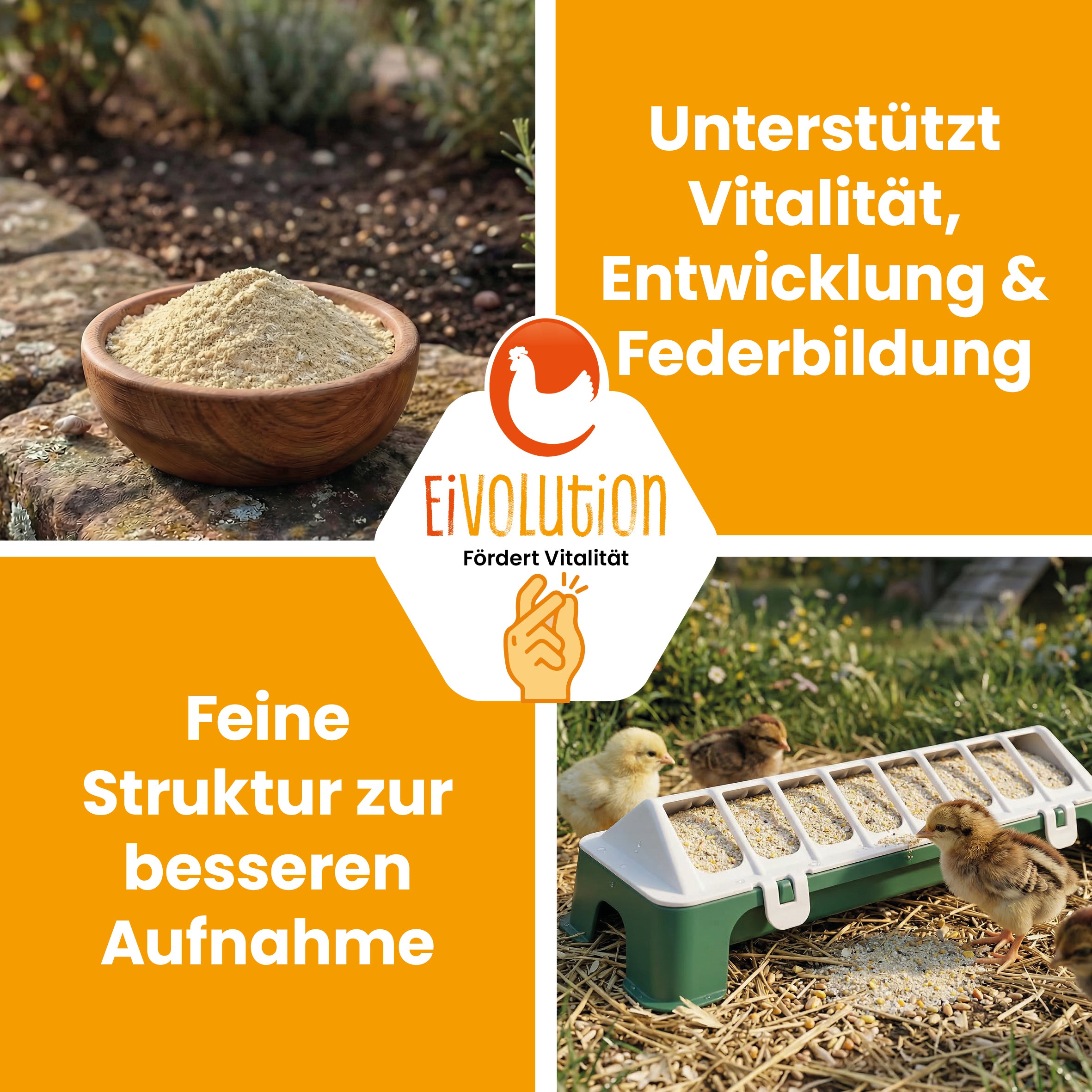 Bio ChickStart – Sanfter Start ins Kükenleben, 5kg