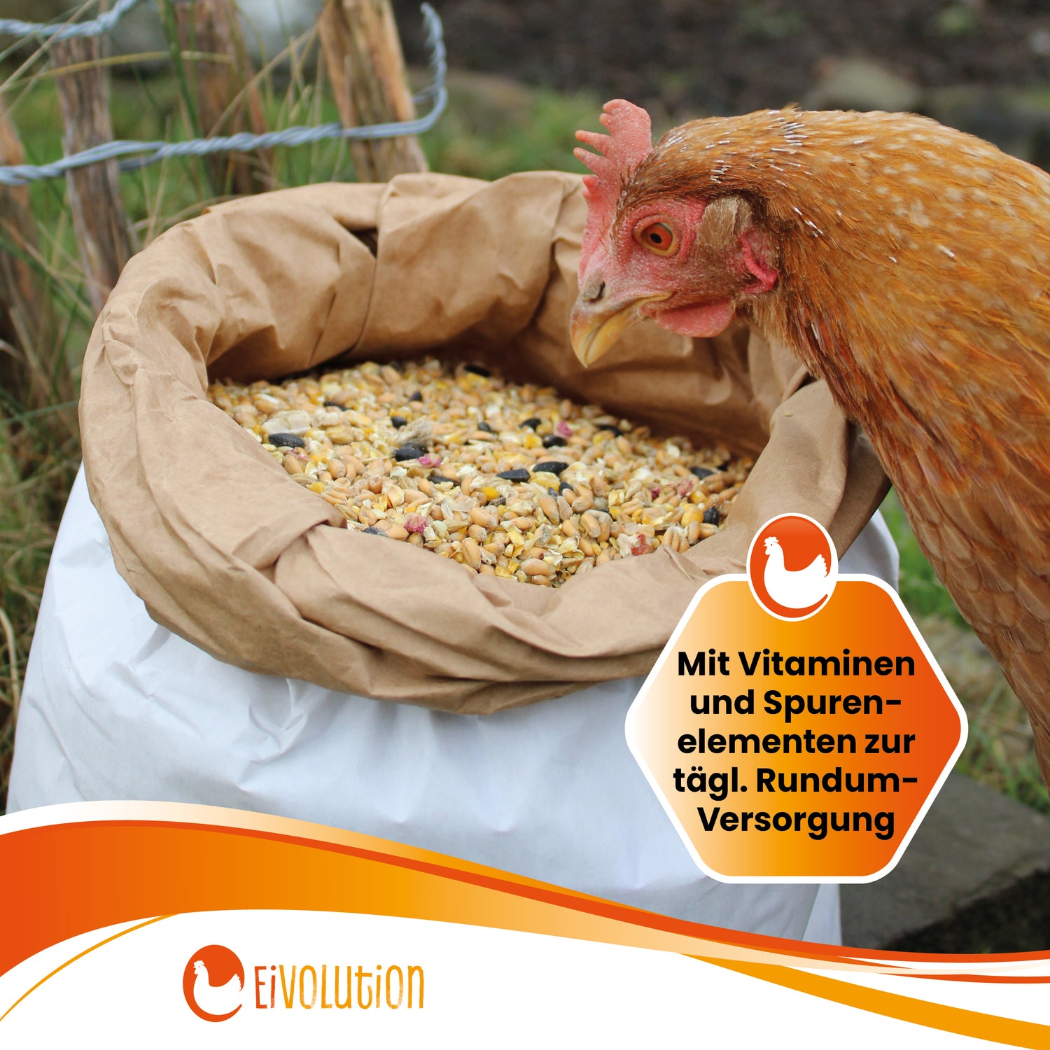 BioGlück Balance – Bio-Futtermischung mit natürlicher Kräuterkraft