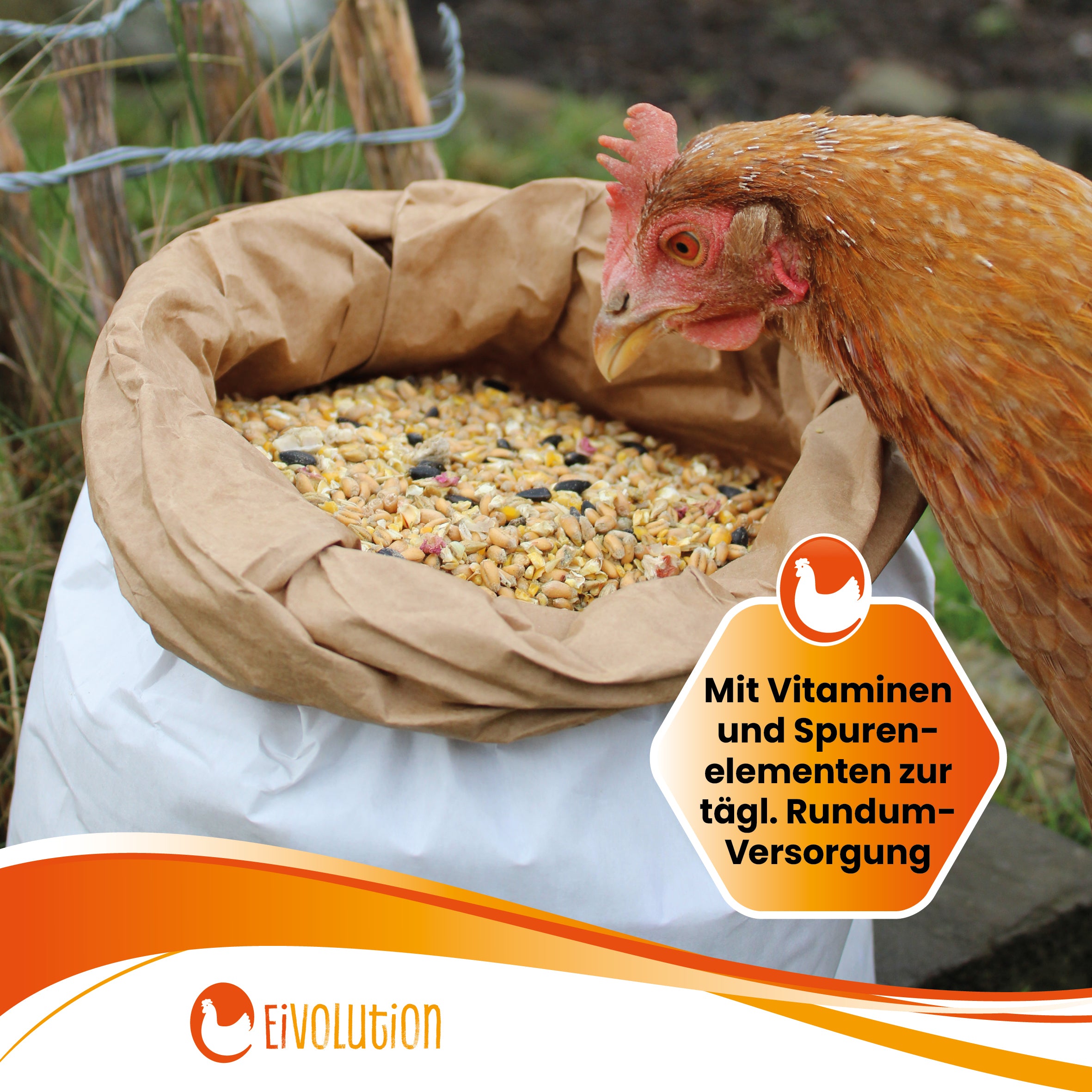 BioGlück Balance – Bio-Futtermischung mit natürlicher Kräuterkraft