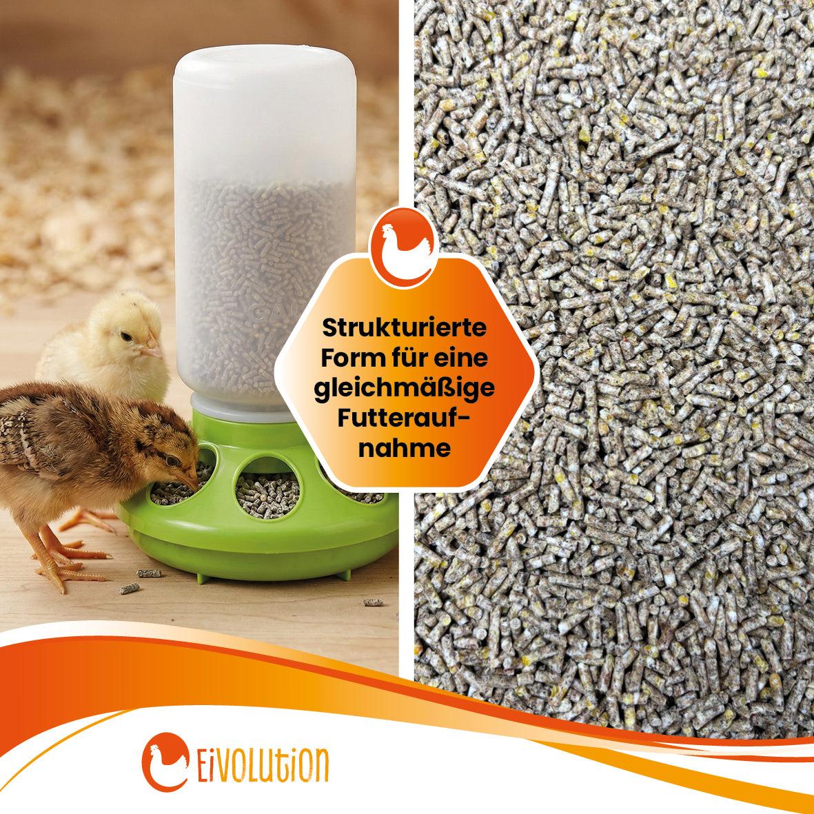 ChickGrow mit Oregano-Öl – Für die Kükenaufzucht ab der 9. Woche