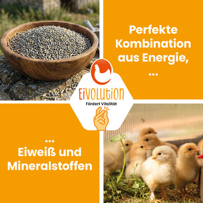 ChickGrow mit Oregano-Öl – Für die Kükenaufzucht ab der 9. Woche