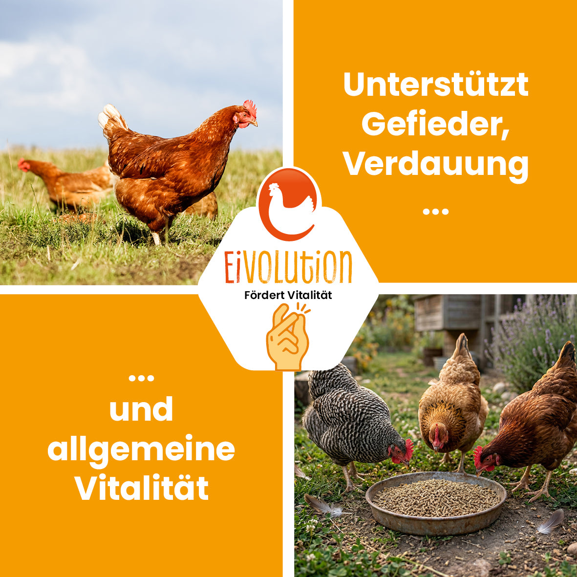 HühnerBoost Spezialfutter für Geflügel – 30 x 20 kg Palette