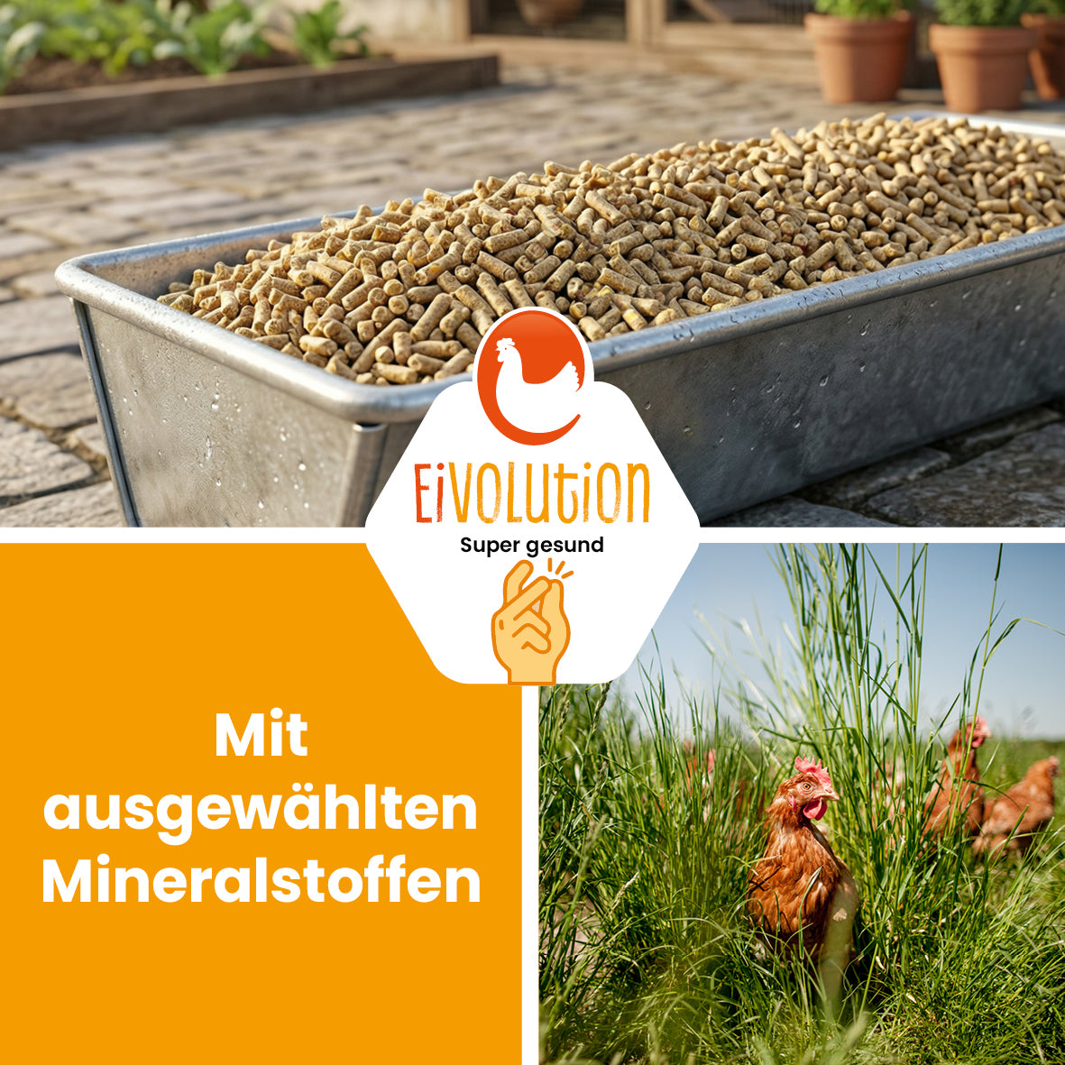 HühnerBoost Spezialfutter für Geflügel – 30 x 20 kg Palette