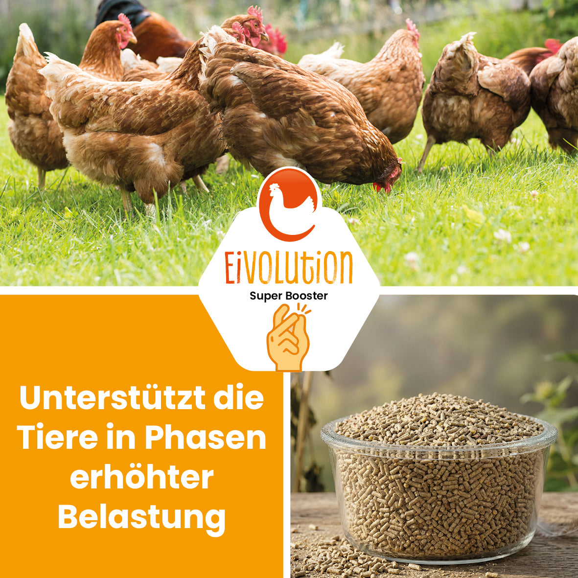 HühnerBoost Spezialfutter für Geflügel – 30 x 20 kg Palette