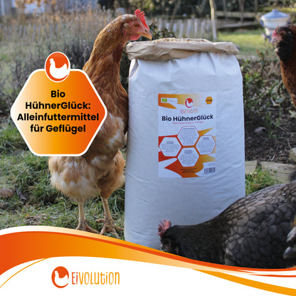 Bio HühnerGlück – Natürlicher Futter-Mix