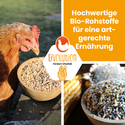 Bio HühnerGlück – Natürlicher Futter-Mix