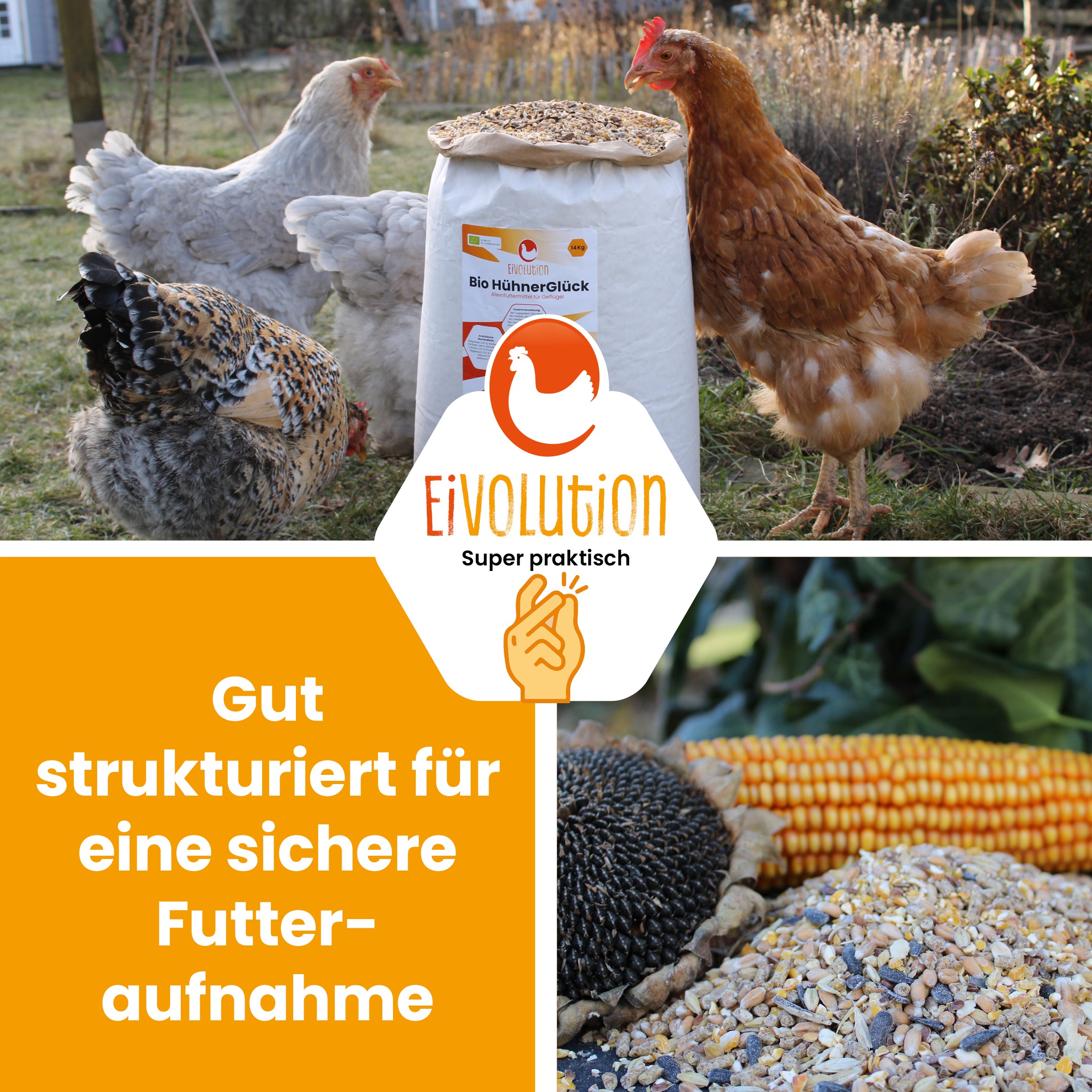 Bio HühnerGlück – Natürlicher Futter-Mix