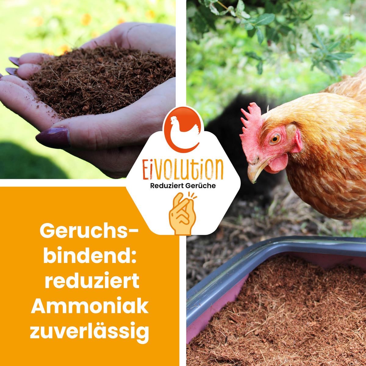 Kokoseinstreu 18 kg (2×9 kg) – saugstark, natürlich &amp; hypoallergen für Hühner, Wachteln &amp; Kleintiere