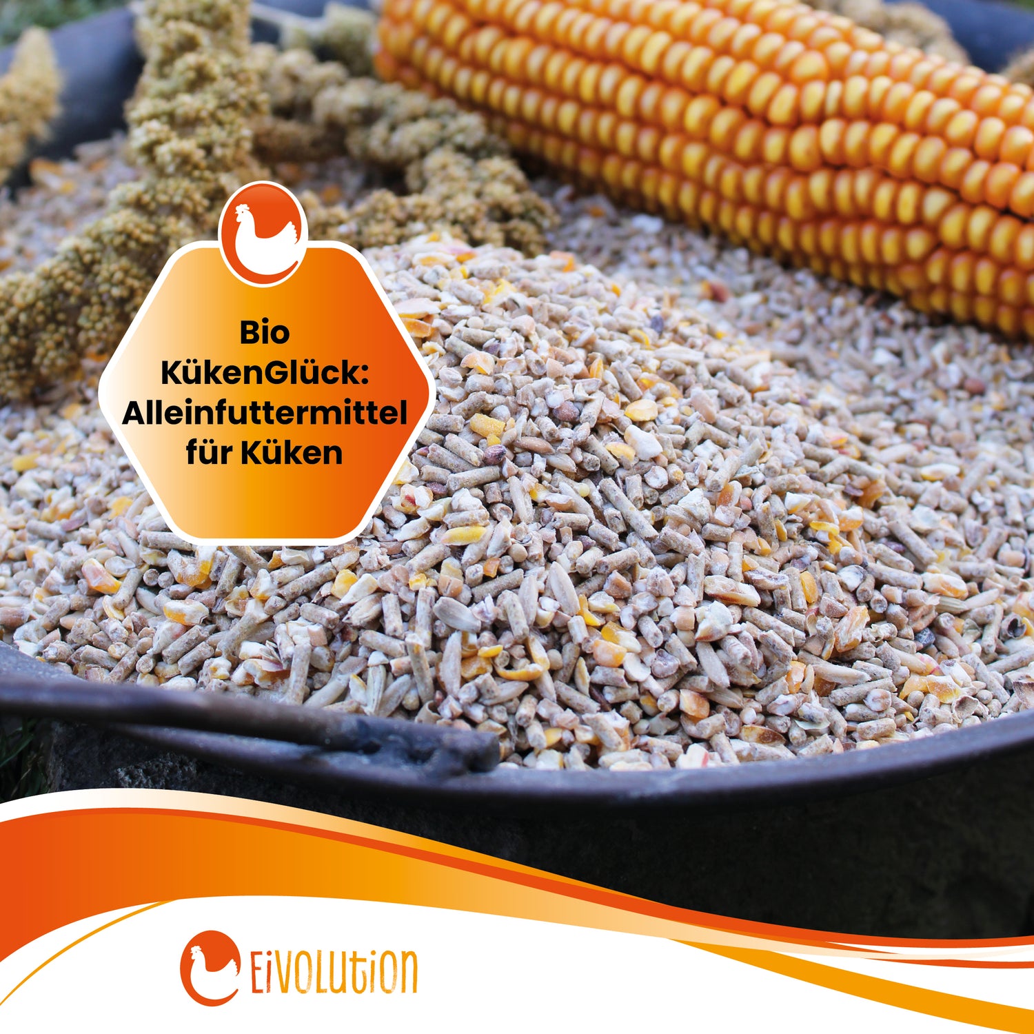 Bio KükenGlück – Stärkende Futterbasis für Küken