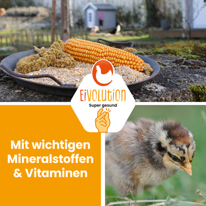 Bio KükenGlück – Stärkende Futterbasis für Küken