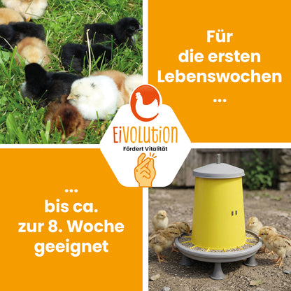 Kükenstarter Premium – Für einen optimalen Start ins Leben