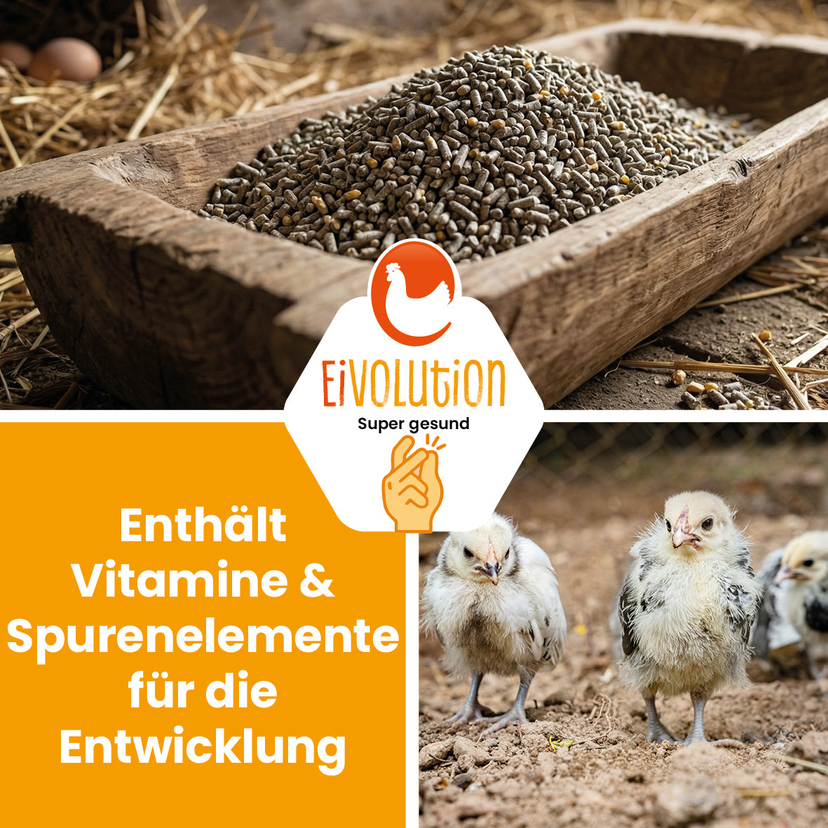 Kükenstarter Premium – Für einen optimalen Start ins Leben
