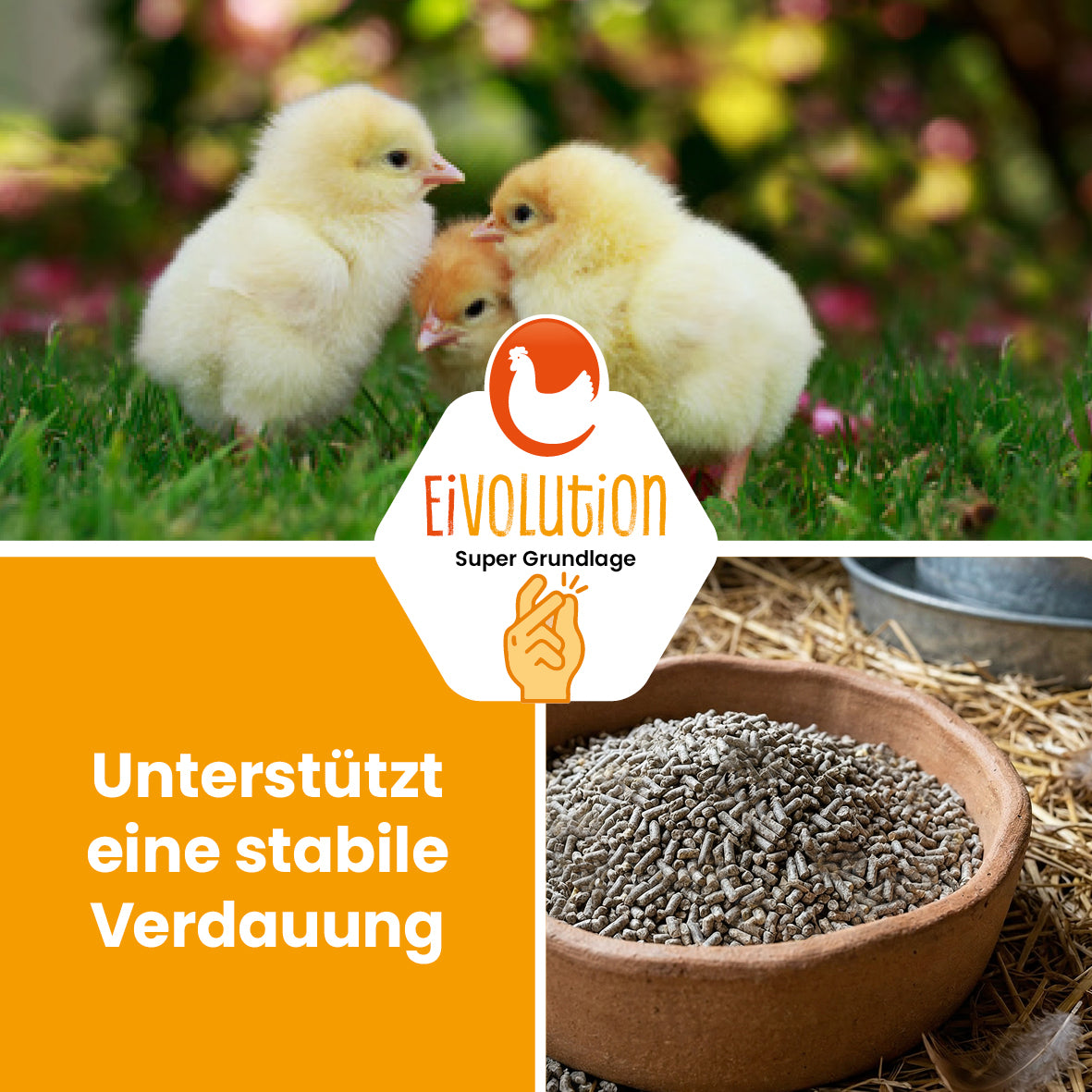 Kükenstarter Premium – Für einen optimalen Start ins Leben
