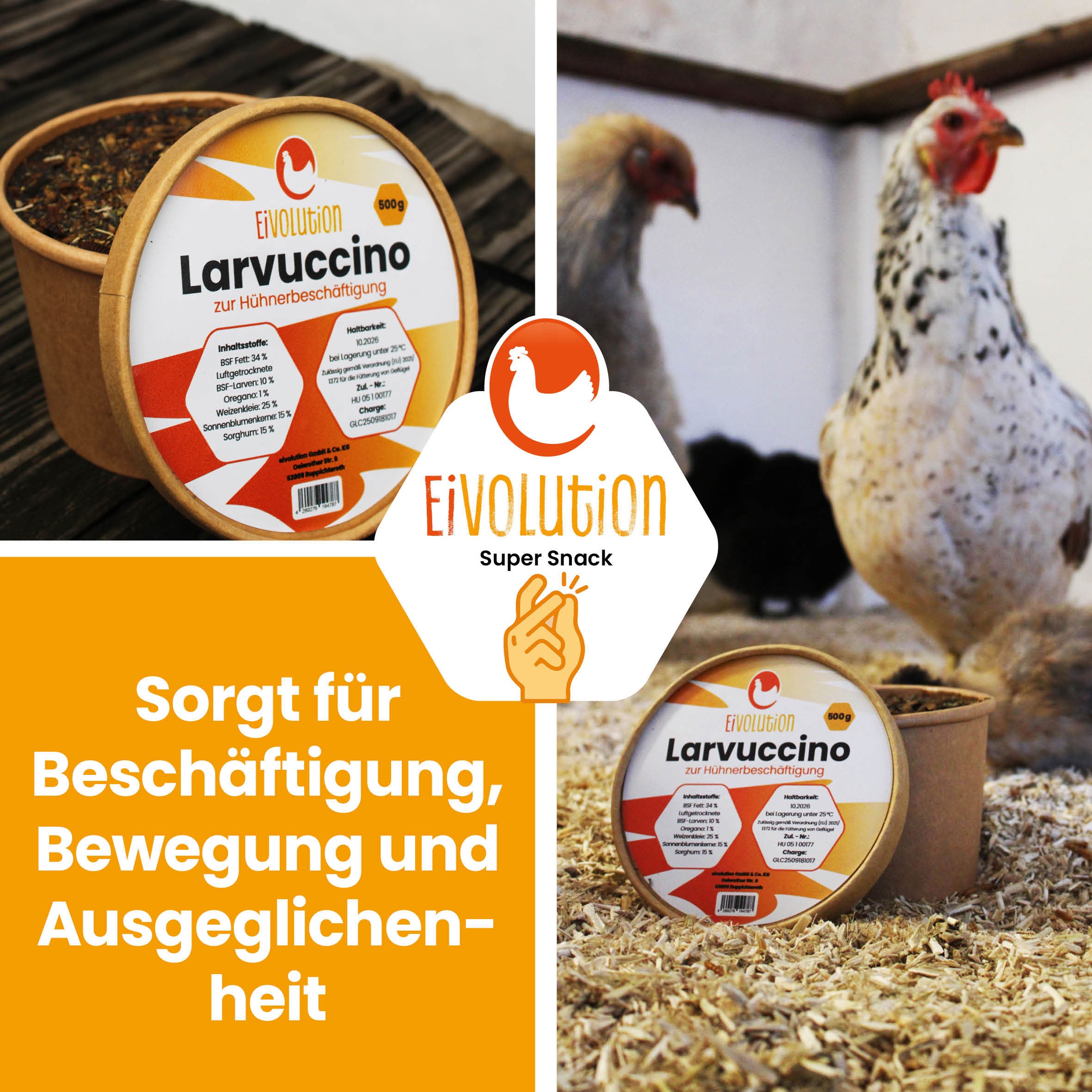 Larvuccino – der kleine Hühner-Kaffeeklatsch mit Genussfaktor
