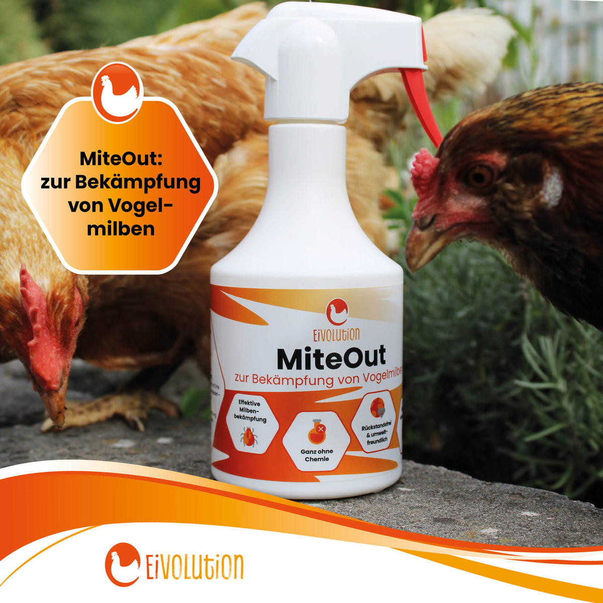 MiteOut – Sprühlösung gegen Vogelmilben im Hühnerstall