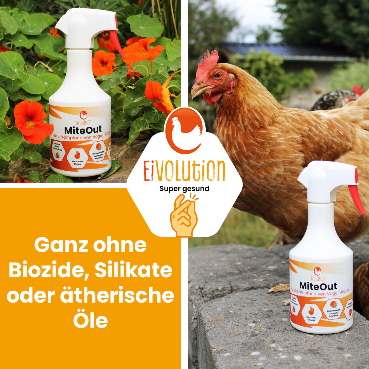 MiteOut – Sprühlösung gegen Vogelmilben im Hühnerstall