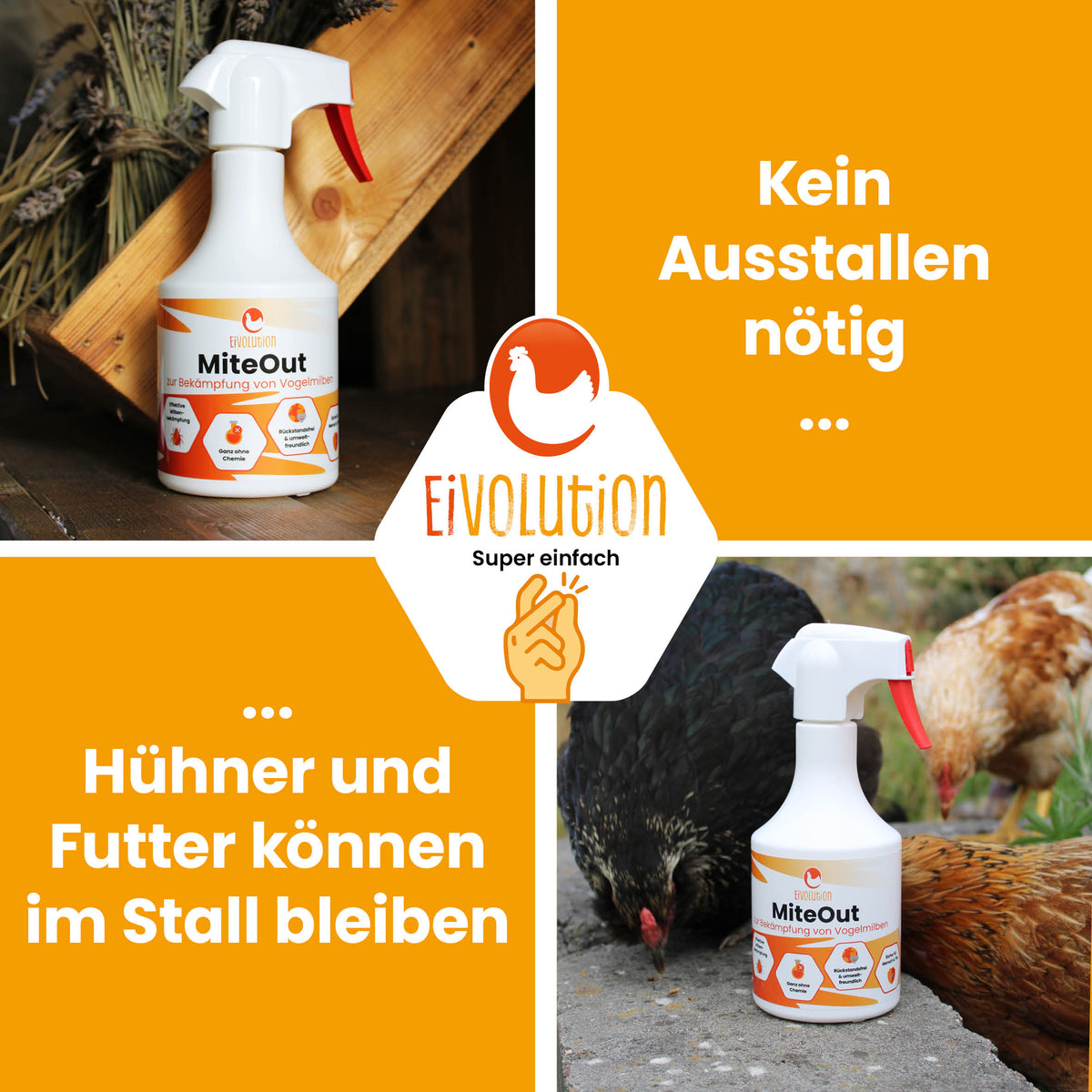 MiteOut – Sprühlösung gegen Vogelmilben im Hühnerstall
