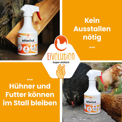 MiteOut – Sprühlösung gegen Vogelmilben im Hühnerstall