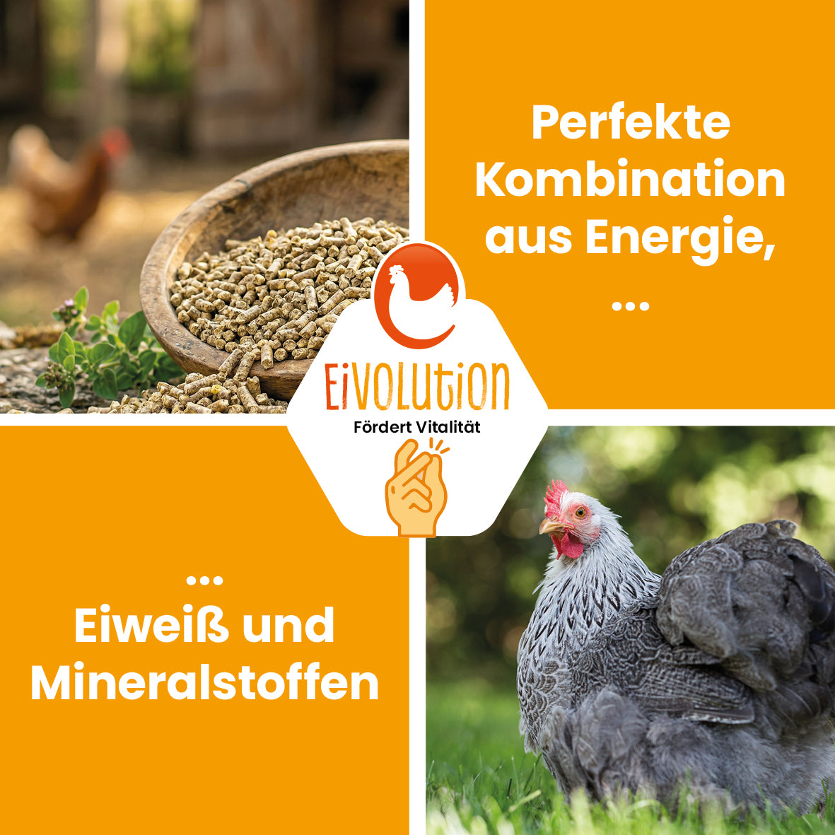 Geflügelfutterpellets mit Oregano-Öl – 20 kg