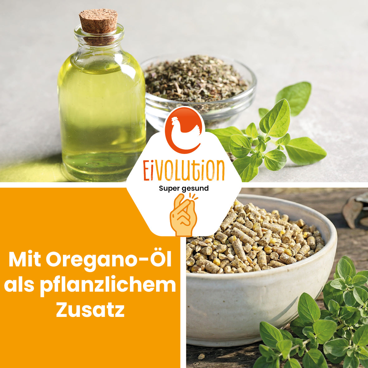 Geflügelfutterpellets mit Oregano-Öl – 20 kg