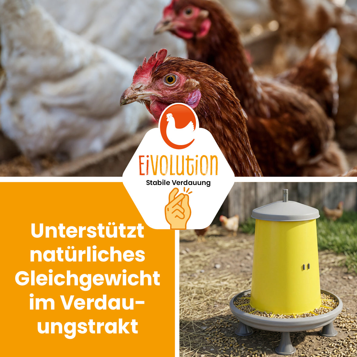 Geflügelfutterpellets mit Oregano-Öl – 20 kg