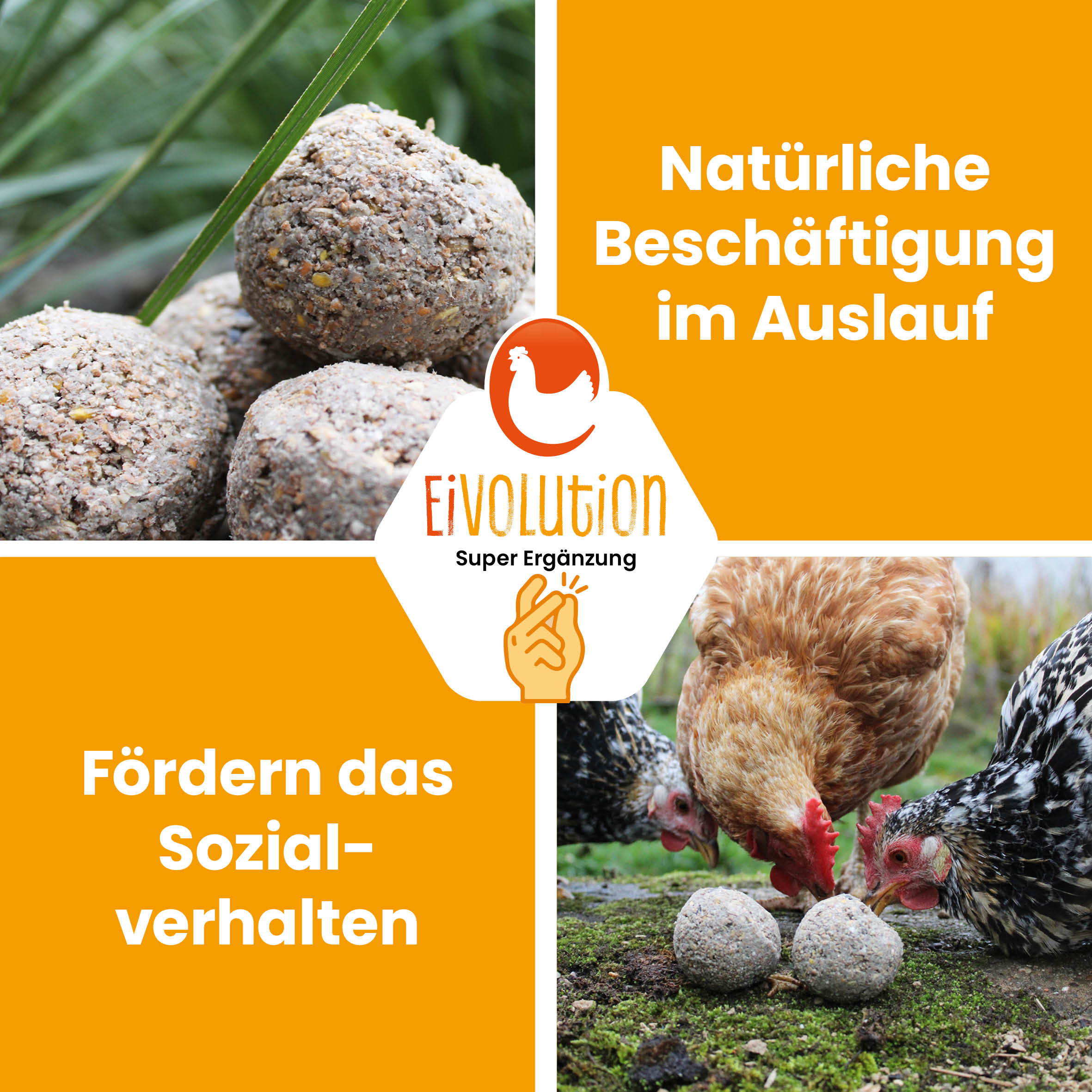 PickBalls – natürliche Beschäftigung für Ziergeflügel