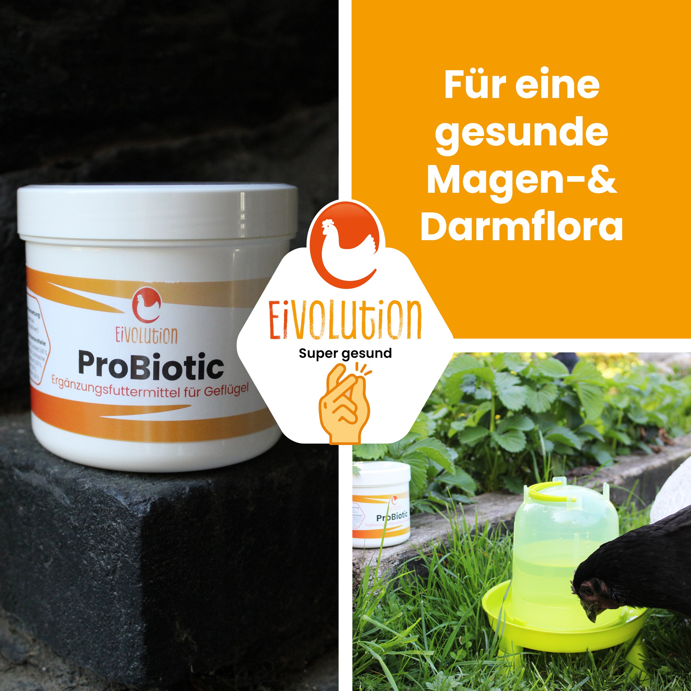 ProBiotic "Für eine gesunde Magen-&amp; Darmflora"