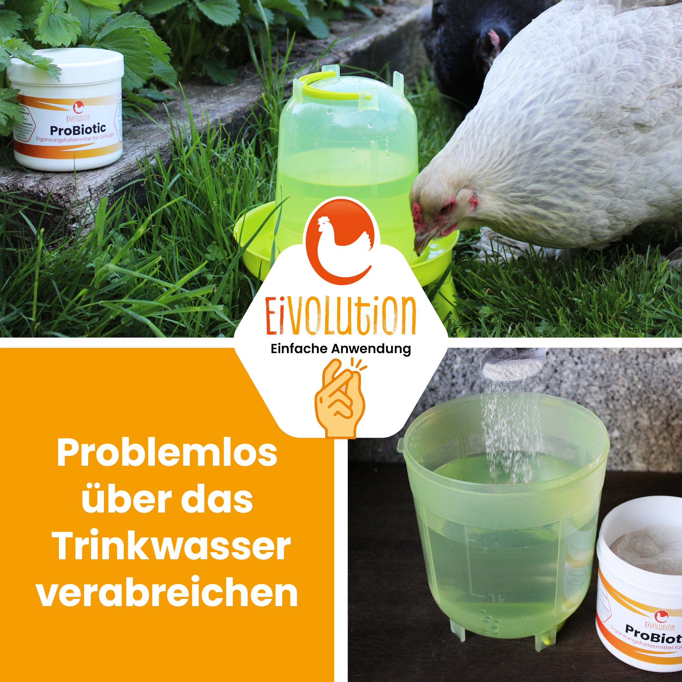 ProBiotic "Problemlos über das Trinkwasser verabreichen"