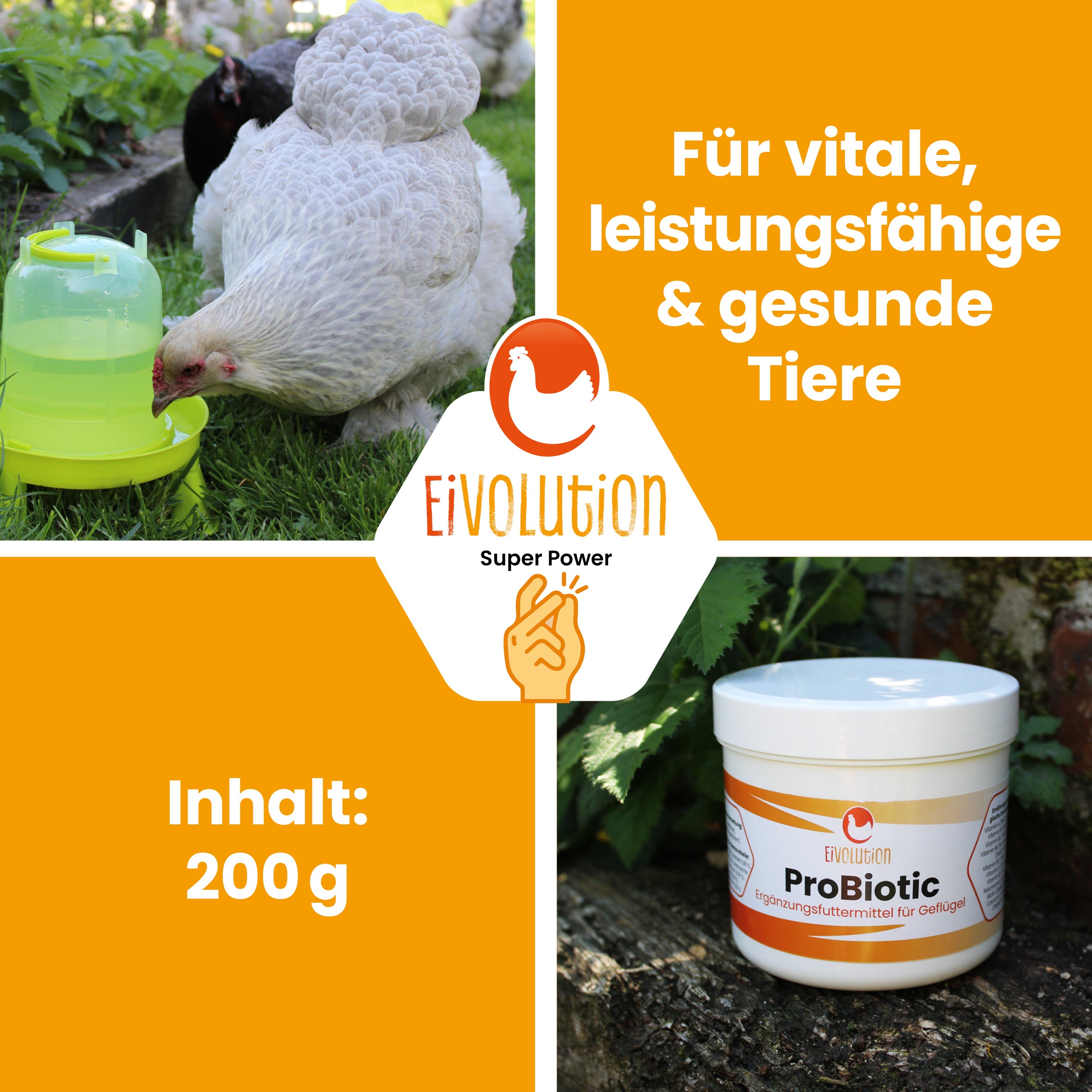 ProBiotic "Für vitale, leistungsfähige &amp; gesunde Tiere, Inhalt: 200g"