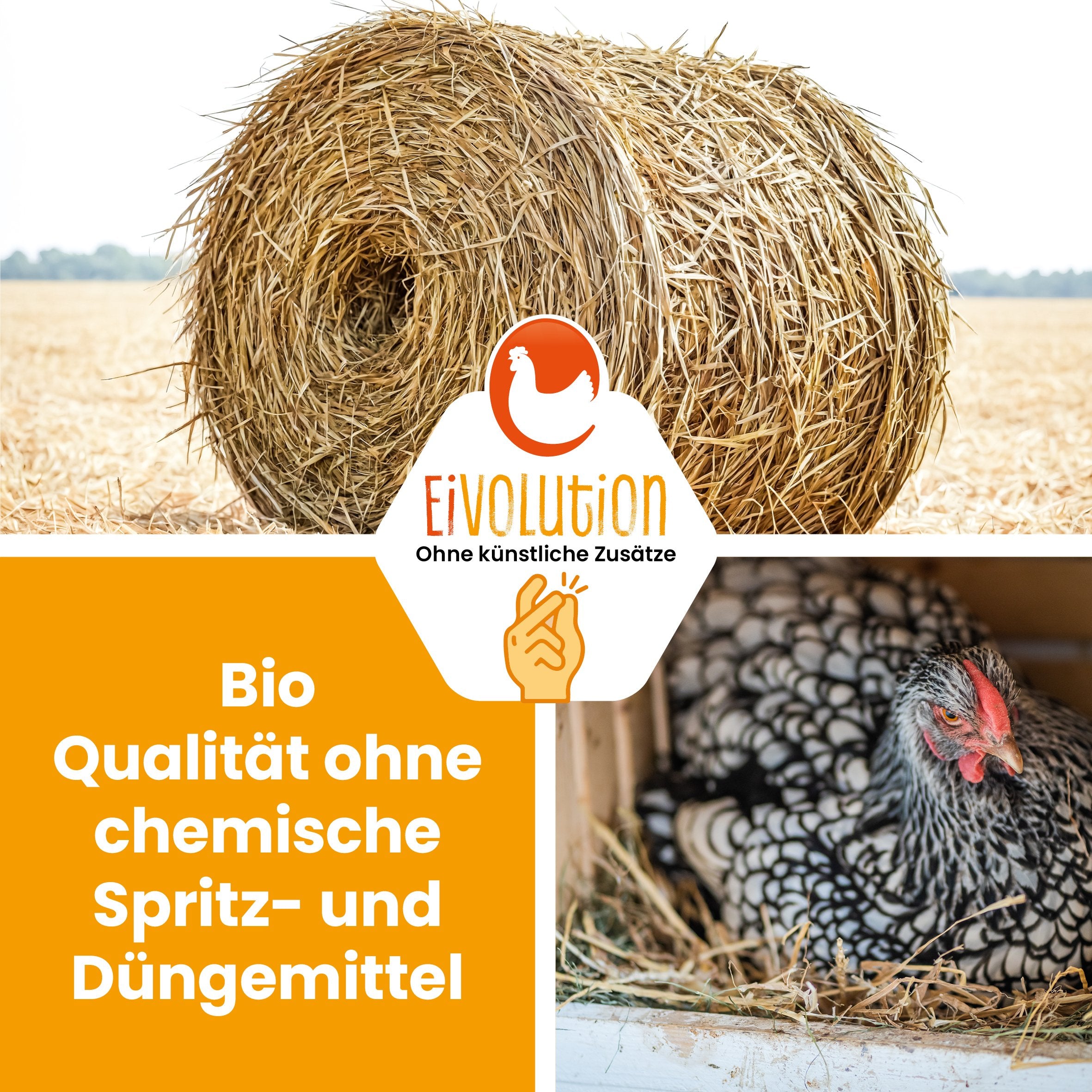 Bio Strohballen "Bio Qualität ohne chemische Spritz- und Düngemittel"