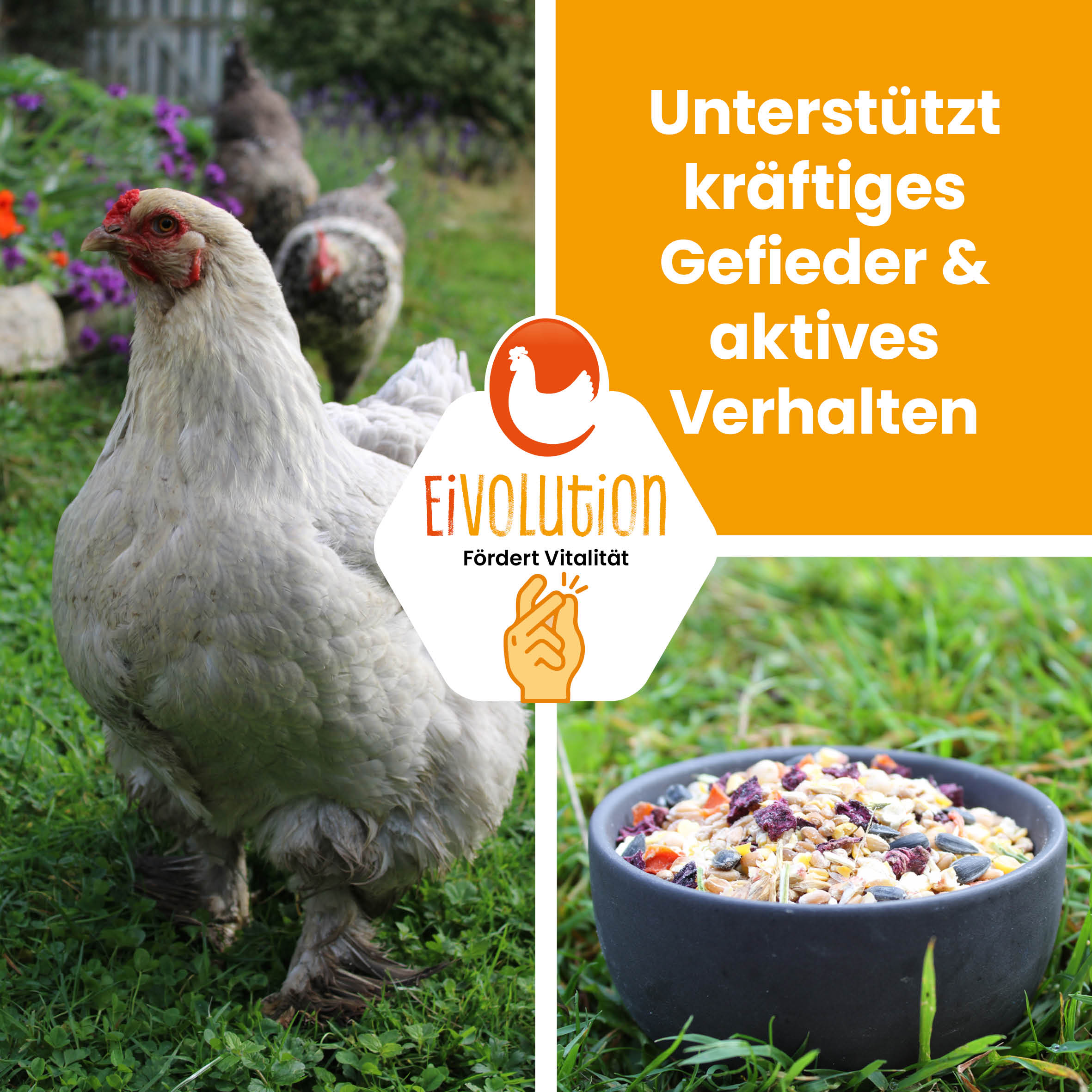 VitalPick – abwechslungsreiches Futter mit Gemüsechips &amp; Körnern