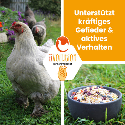 VitalPick – abwechslungsreiches Futter mit Gemüsechips &amp; Körnern
